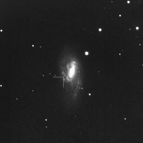 SN2016cok in M66