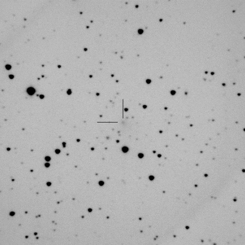 C/2014 Q2/Lovejoy