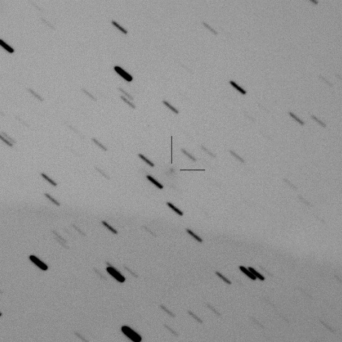 C/2015 WZ/PanSTARRS