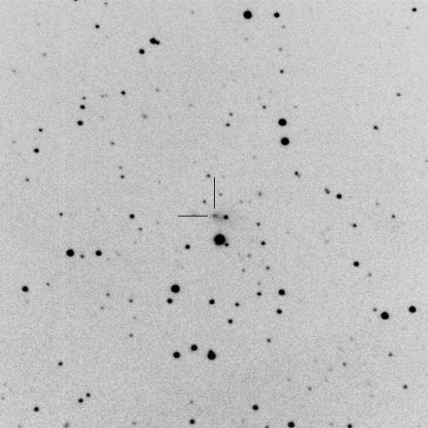 226P/Pigott-LINEAR-Kowalski