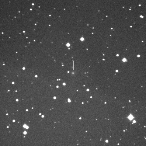 C/2013 US10/Catalina