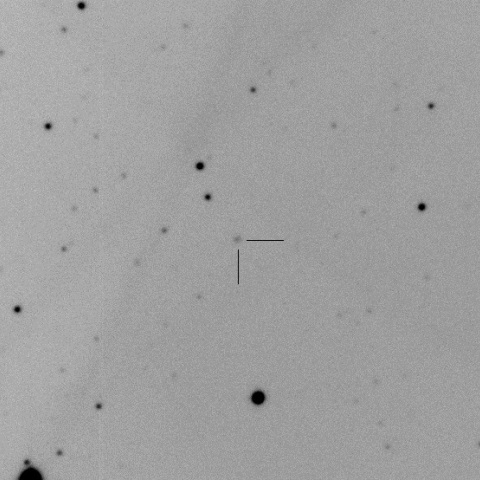 C/2015 VL62/Lemmon-Yeung-PanSTARRS