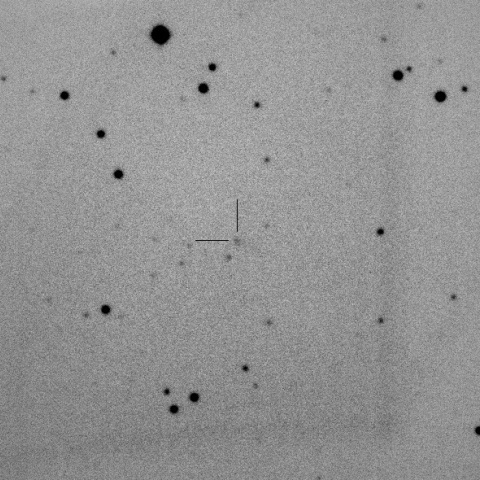 338P/2016 N1/McNaught