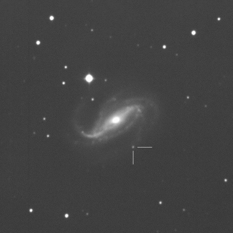 SN2016gkg in NGC613