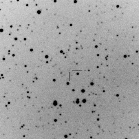 C/2014 Q2/Lovejoy