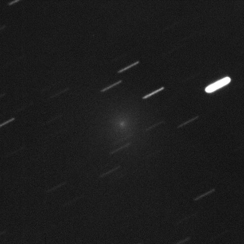 C/2016 U1/NEOWISE