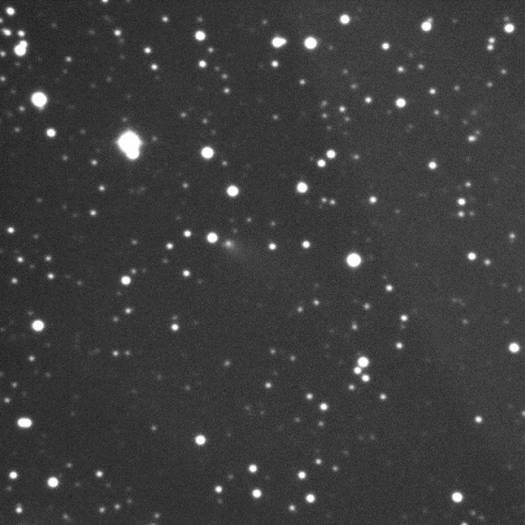 56P/Slaughter-Burnham