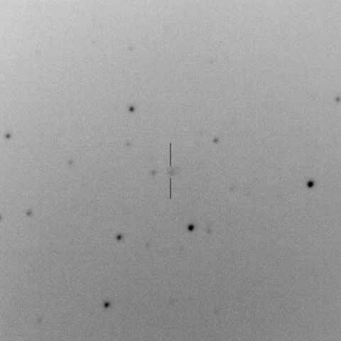 C/2015 ER61/PanSTARRS