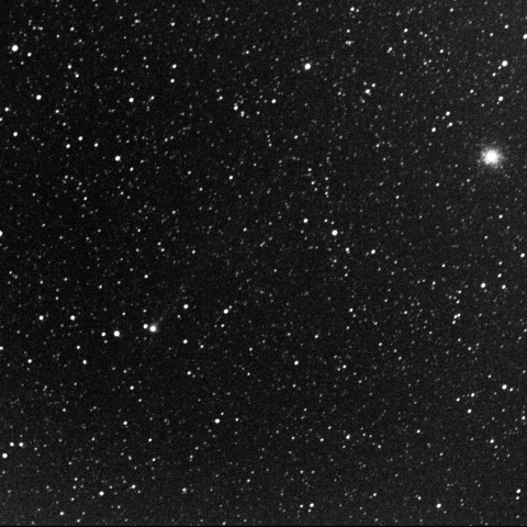 C/2016 U1/NEOWISE