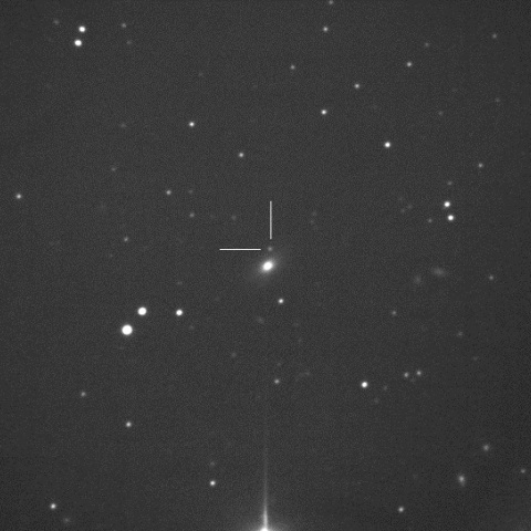 SN2017dzs in UGC12655