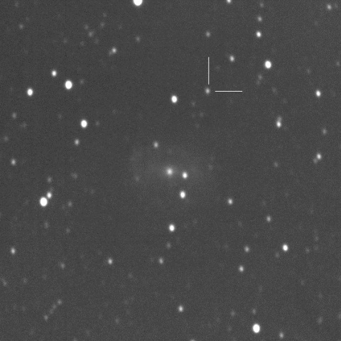 SN2017cbv in NGC5643