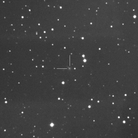 C/2016 M1/PanSTARRS