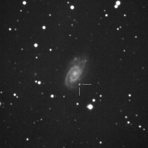 SN2017erp in NGC5861