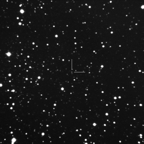V404 Cyg