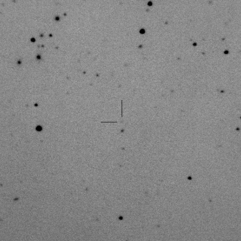 2017 O2=P/2010 D1/WISE