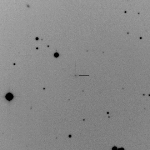 C/2011 KP36/Spacewatch