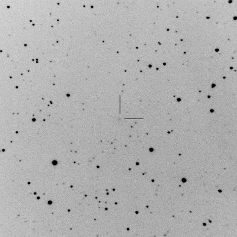 362P=(457175)=2008 GO98=Spacewatch