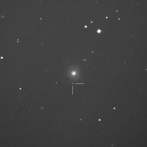 SN2017gww in NGC7816