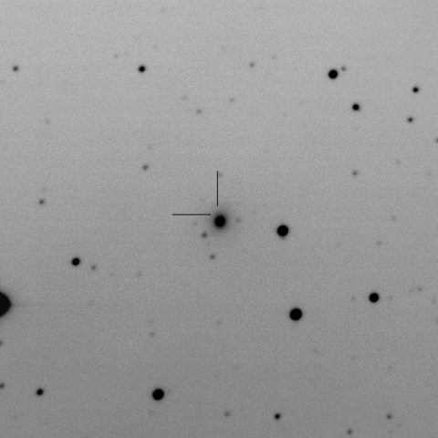AT2017gfo in NGC4993/Kilonova