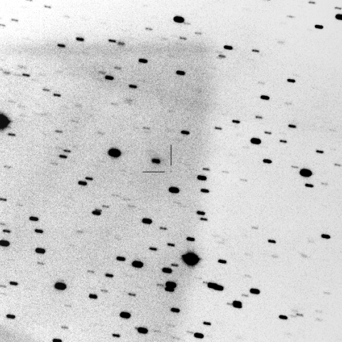 26P/Grigg-Skjellerup