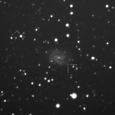 SN2018gv in NGC2525