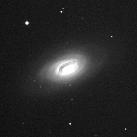 M64