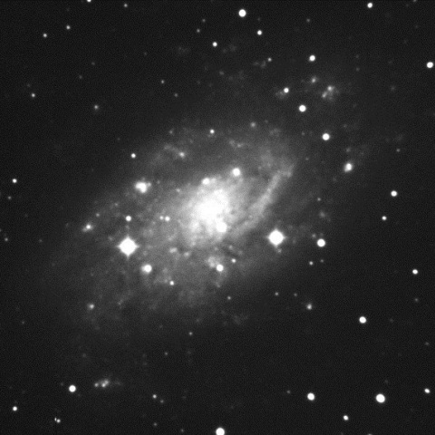 NGC2403