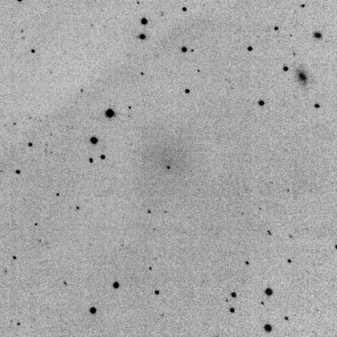174P/Echeclus