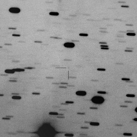 Space X Tesla Roadster