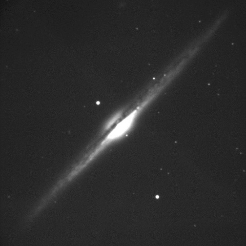 NGC4565