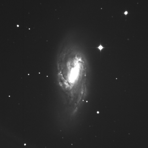 M66