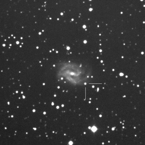 特集 2018年1～2月 NGC 2525の超新星2018gv - 天体写真ギャラリー