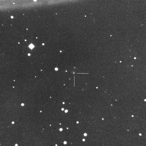 105P/Singer Brewster