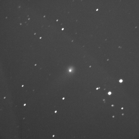 C/2015 O1 PanSTARRS