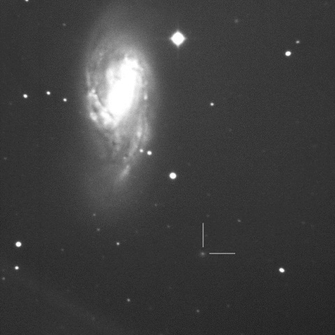 74P/Smirnova-Chernykh and M66
