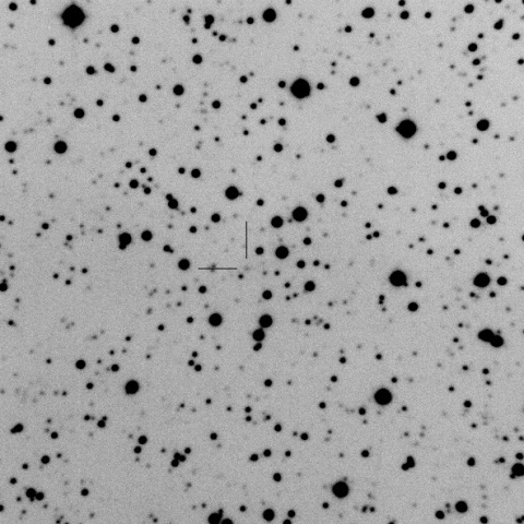 361P/2017 S4 Spacewatch