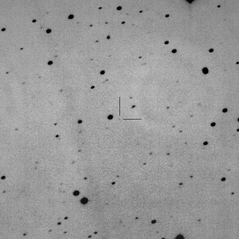 (19210) Higayoshihiro