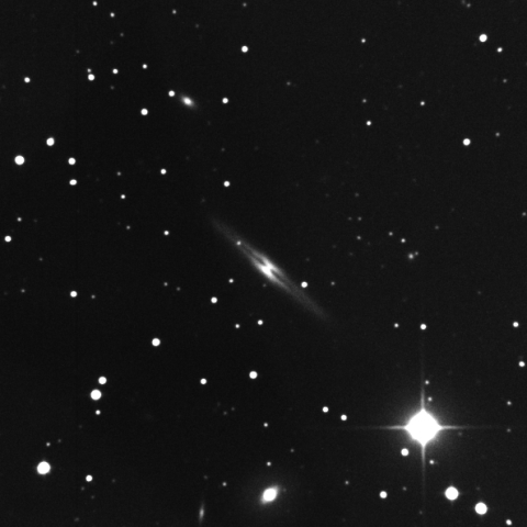 NGC973
