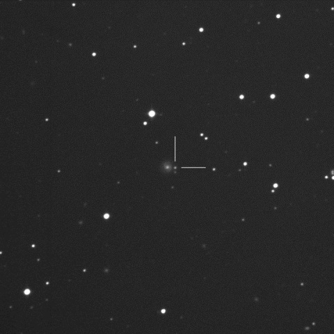 SN2019bdz in CGCG 048-018