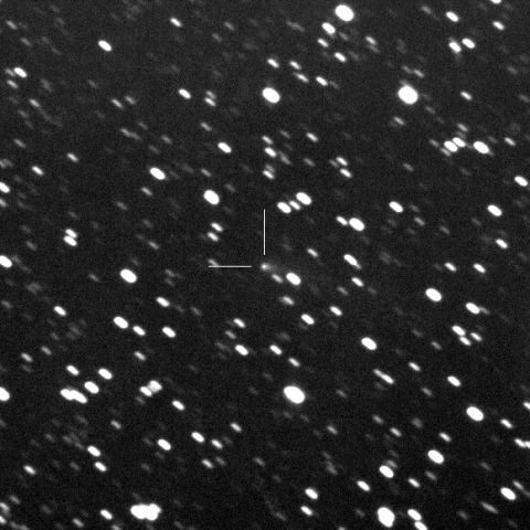 C/2019 D1 Flewelling