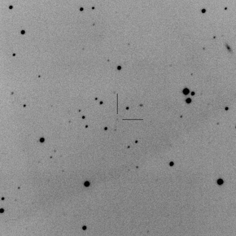 P/2006 F4 Spacewatch