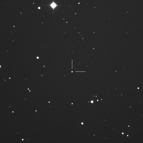 TCP J05515391+6504346