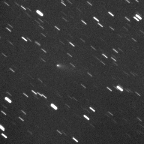 C/2019 D1 Flewelling