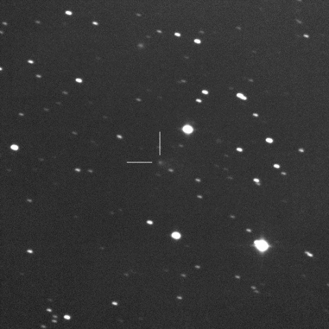 C/2019 D1 Flewelling