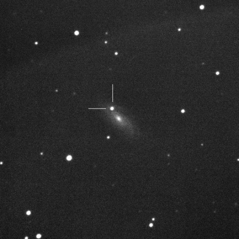 SN2019qyk in UGC5604