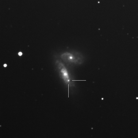 SN2020fqv in NGC4568