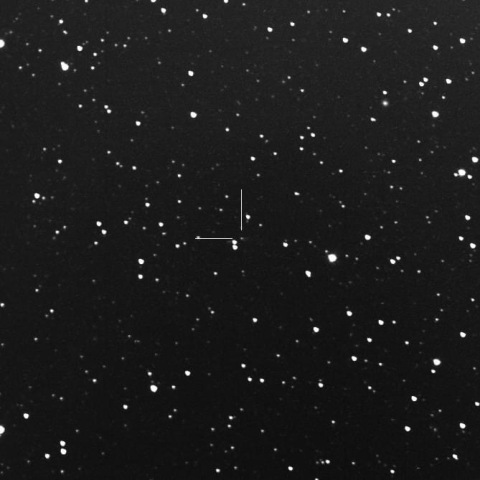 409P/LONEOS-Hill