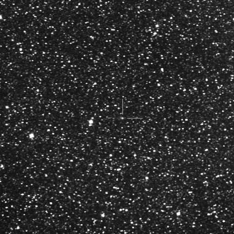 57P/du Toit-Neujmin-Delporte