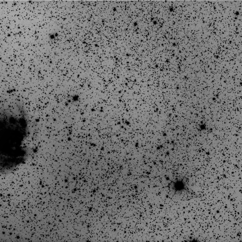 274P/Tombaugh-Tenagra (unconfirmed) and NGC2174