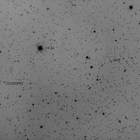 P/2021 N2 Flus and 244P/Scotti